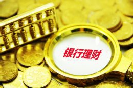 中金印度消费REITT：邱延冰，基金管理公司副总经理
